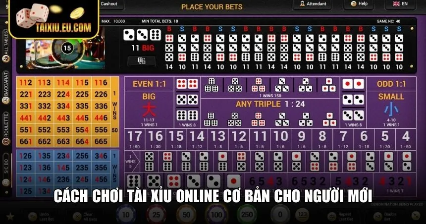 Hướng dẫn cách chơi Tài Xỉu cho newbie