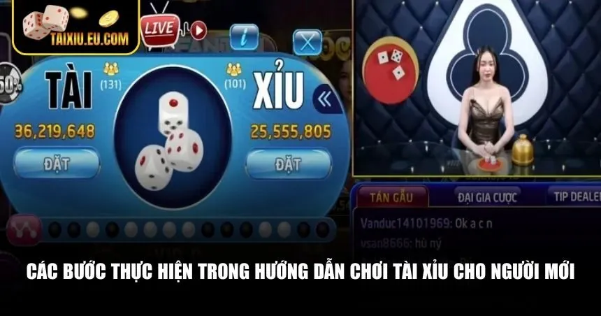 Các bước thực hiện trong hướng dẫn chơi tài xỉu cho người mới